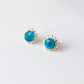 ピアス / earrings